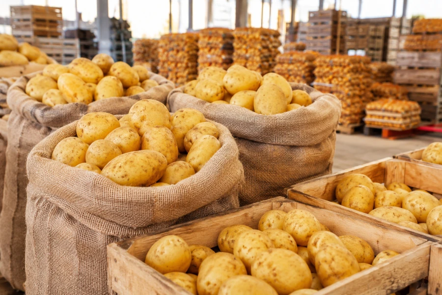 Çanakkale Patates Ticareti